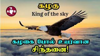 Eagle Motivation in Tamil /கழுகின் 7 தலைசிறந்த குணங்களும் நமக்கான பாடங்களும்/ Life Lesson from Eagle