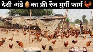 खेती के साथ देशी मुर्गी पालन | Free Range Desi Murgi Palan | Desi Poultry Farm Free Range | Poultry