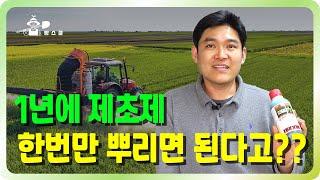 1년에 제초제 한번만 뿌리면 진짜 풀이 안나요??? ㅣ 올바른 제초제 사용법 ㅣ 제초제에 관한 모든 것