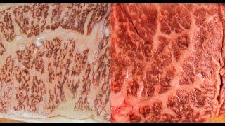 Wagyu: Japanese vs. American