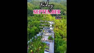 Friday Stay Strong _ Mirror of the World