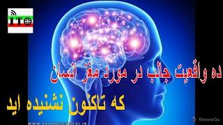 ده واقعیت جالب در مورد مغز انسان که تاکنون نشنیده اید