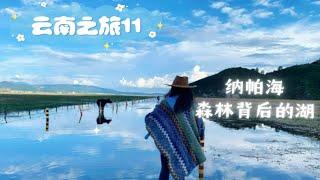 【云南之旅11】纳帕海环湖路自驾！最美水上公路，这才是心中的香格里拉