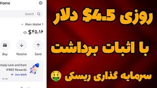 آموزش کسب درآمد دلاری روزانه 4.5$ دلار با اثبات برداشت| کسب درآمد دلاری با سرمایه گذاری 