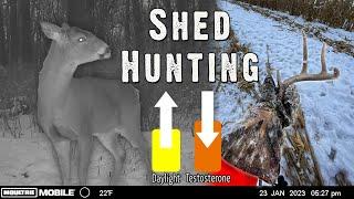 How to use Trail Cameras for Shed Hunting