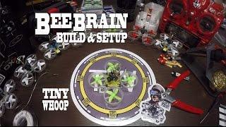 BeeBrain Build and Setup for Total Newbs - Tiny Whoop - Bee Brain Taranis Version