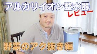 アルカリイオン整水器レビュー 【野菜のアク抜き編】