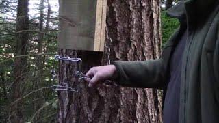 Squirrel Trapping with BMI bodygrip traps