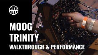 Moog Talking About Their Trinity feat. Subharmonicon, Mother-32 & DFAM | Thomann