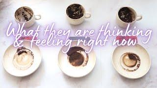 COFFEE CUP READING | What they are thinking & feeling right now