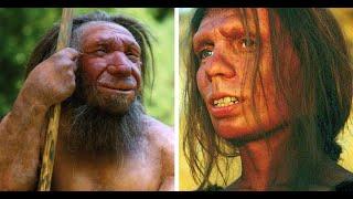 了解 Denisovans Ancient Human Species 丹尼索瓦人 古代人类物种(3 分钟微学习) ENG Subtitle