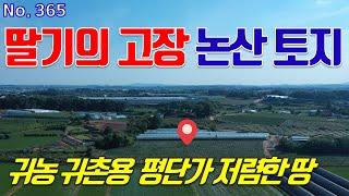 논산시 토지 매매 딸기의 고장 논산시 광석면 사월리 비닐하우스 다섯 동 완비된 귀농 귀촌용 넓은 계획관리지역 땅 급매