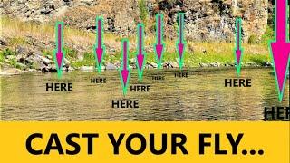 Fly Fishing Rivers for Trout Tailwater Techniques Fly Fishing the Riffles with Dry Flies #flyfishing