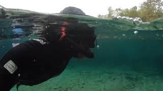 Morrison Springs Freediving