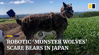 Bear scare: ‘monster wolf’ robots protect Japanese towns from hungry marauding bruins