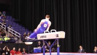 Daniel Purvis - Pommel Horse - 2014 AT&T American Cup