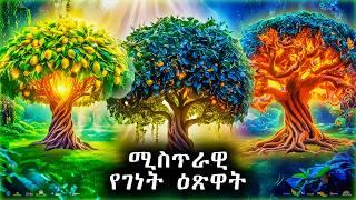 ሚስጥራዊ የገነት ዕፅዋት - @meba-tv - Eotc tv - ስንክሳር - ገድል