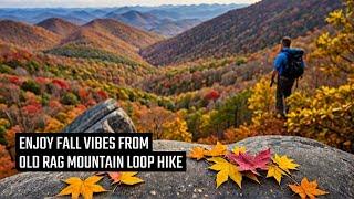 Experience the MOST BREATHTAKING Fall Foliage Hike on Old Rag Loop