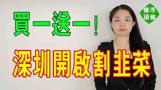 深圳樓市以價換量「買一套送一套」，「更筍」還是「更損」，中產們上車執筍割菲菜咯！全軍覆沒，連深圳灣、後海、紅樹灣、福田房價全線下跌。#深圳樓市 #房價 #下跌 #買一送一#韭菜#中產