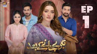 Teray Janay Kay Baad Episode 1 | 30 July 2024 (English Subtitles) | ARY Digital Drama