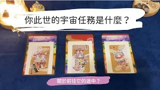 艸艸占卜你此世的宇宙任務是？前往它的過程會發生什麼？| Tarot |Pick a card.