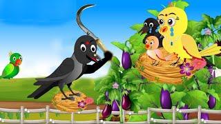 Chadhei Ra Chingudi Macha \\ Odia Stories \\ Tiki Chadhei Gapa \\ Odia Gapa \\ Bird Kahani