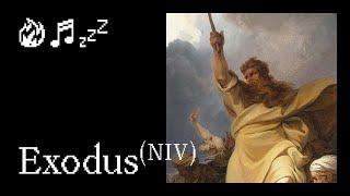 Full Book of Exodus for Sleep with Ambient Fireplace Sounds | Peaceful Bible Reading & Black Screen