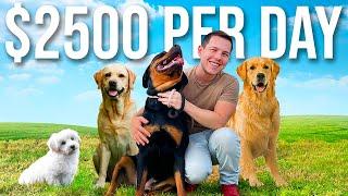 Making $2500 Per Day with a Luxury Dog Hotel | Undercover Millionaire