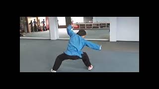 Master Tang Lai Wei training clips