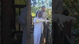 Treehouse bee rescue Part 1