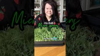 GROWING #MICROGREENS WITH NO SOIL #indoorgarden #freshfood