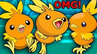 TORCHIC LITERALLY KILLS POKEMON!