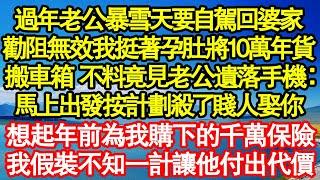 過年老公暴雪天要自駕回婆家，勸阻無效我挺著孕肚將10萬年貨，搬到車箱 不料竟見老公遺落手機：馬上出發按計劃殺了賤人娶你，想起年前為我購下的千萬保險真情故事會||老年故事||情感需求||愛情||家庭