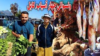 گزارش ضیا صالحی از چهارآسیاب کابل/ zia report of chahar asiaab kabul