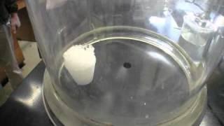 How to Make Solid Nitrogen from Liquid Nitrogen