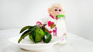 Monkey Baby Molly really misses Mom when Dad feeds her this fruit