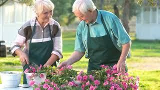 Essential Gardening Tools for Seniors: Garden with Ease & Joy!