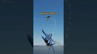 Risk vs Reward F-15 Eagle vs SU-27 Flanker #dcs #simulation