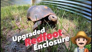 The  Ultimate Redfoot Enclosure | The Redfoot Enclosure | Space Coast Tortoise