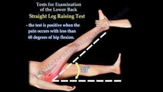 Tests For Examination Of The Lower Back - Everything You Need To Know - Dr. Nabil Ebraheim