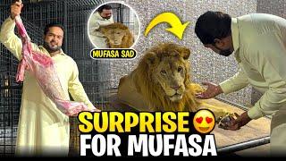 Mufasa ney mujhay pehchannay say inkar kar dia 5 din nahi mila 