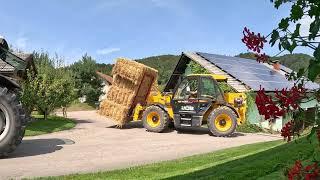 Busy Time on a Small Dairy Farm