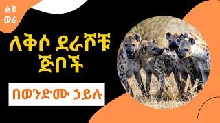 Sheger Liyu Were - ለቅሶ ደራሾቹ ጅቦች   Wendimu Hailu  በወንድሙ ኃይሉ