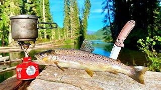 BROWN TROUT Fishing & SOLO Camping in REMOTE WILD!!! (Catch, Cook, Camp)