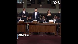 TikTok首席执行官周受资与中共的关系在美国国会再受质询