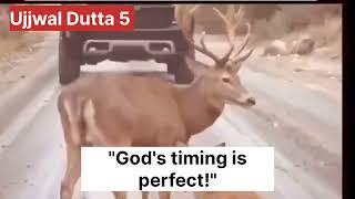 "God's Timing is Perfect!"