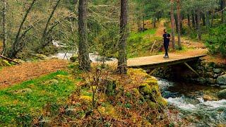 Ruta para Principiantes en Madrid  Presa del Pradillo