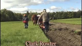 Annapolis Valley Working With Oxen