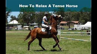 How To Relax A Tense Horse