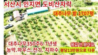 서산땅  대추나무 밭1707평 농막.하우스 몽땅 땅값 평당13만원으로